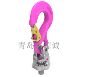 德國RUD PP-S螺栓型旋轉吊點/原裝吊環(huán)